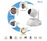 Snov Wireless IP IR PTZ Surveillance Camera with 6pcs Wireless Alarm Detector, Motion Detection, APP SV-VPC2K4  
